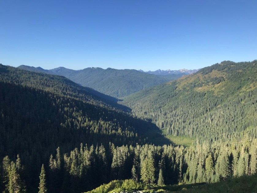 UNADJUSTEDNONRAW_thumb_2601