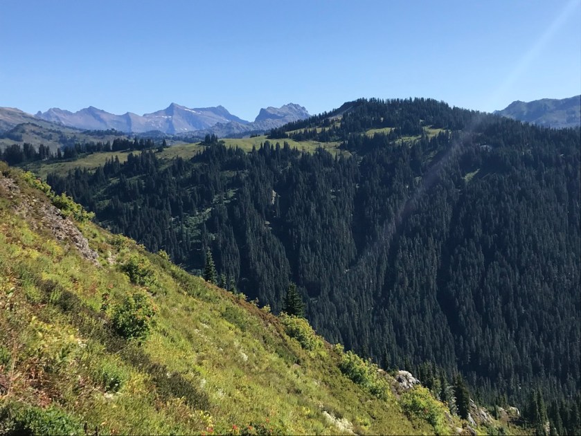 UNADJUSTEDNONRAW_thumb_2604