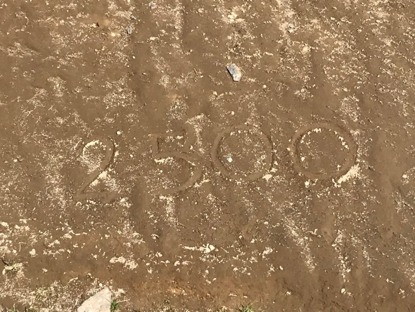 UNADJUSTEDNONRAW_thumb_260b