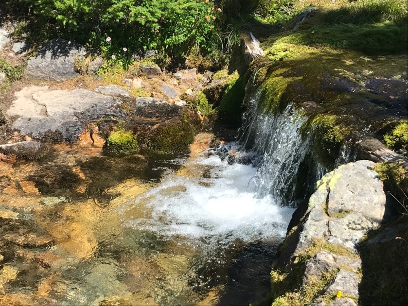 UNADJUSTEDNONRAW_thumb_261c