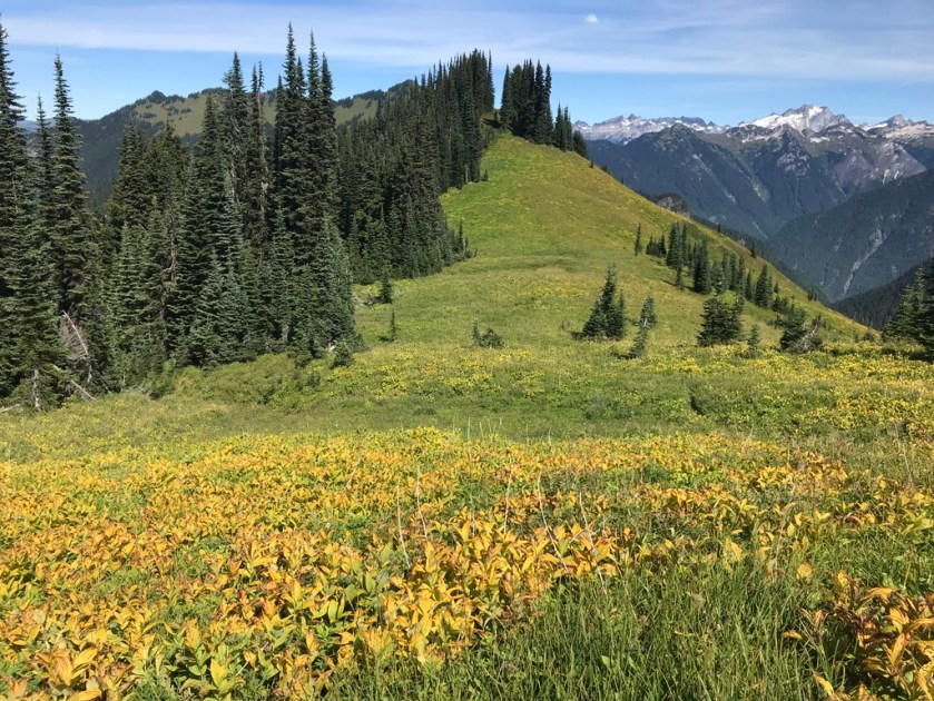 UNADJUSTEDNONRAW_thumb_262a