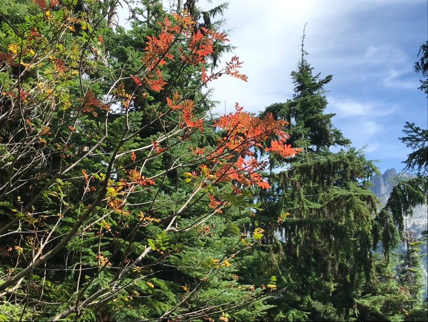 UNADJUSTEDNONRAW_thumb_2637