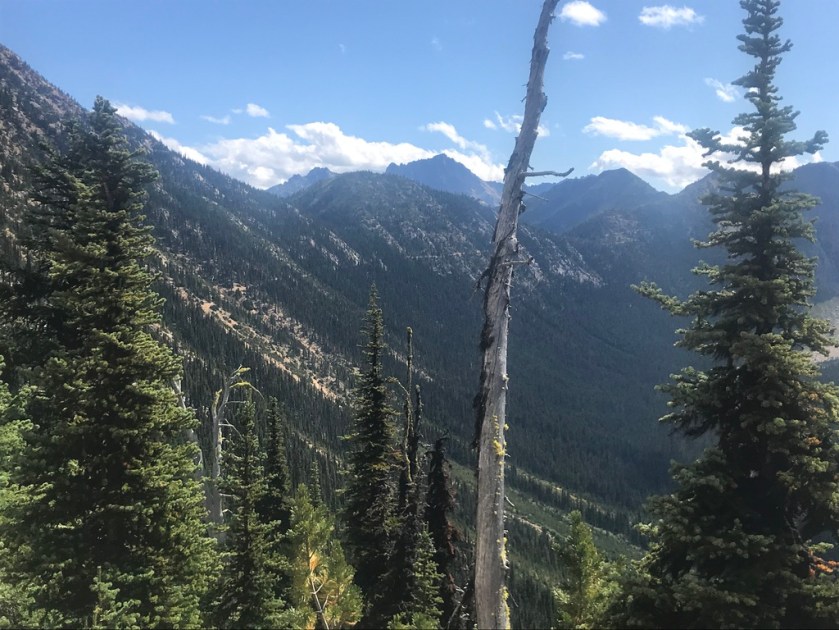 UNADJUSTEDNONRAW_thumb_264f