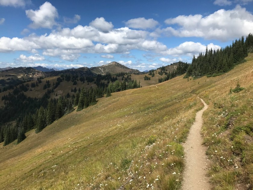 UNADJUSTEDNONRAW_thumb_265e