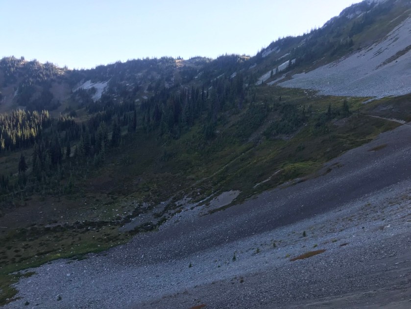 UNADJUSTEDNONRAW_thumb_266b